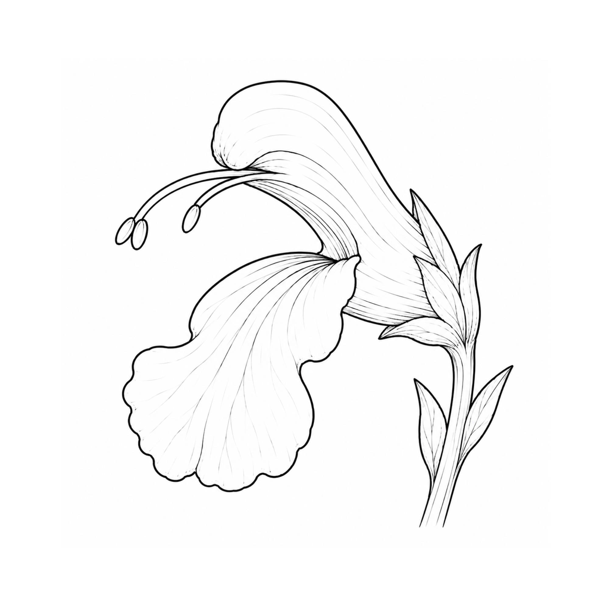 Blüten zum Ausmalen – Frühlingsblüten Band 2, 40 botanische Frühlingsblüten zum Ausmalen